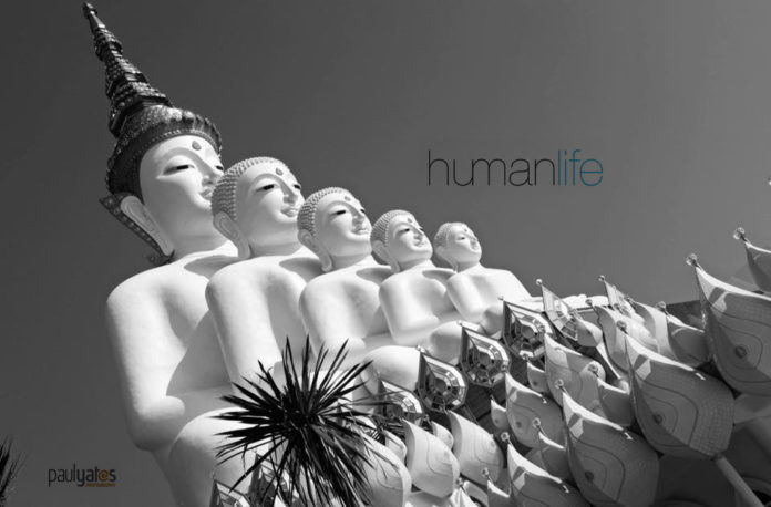 huanthaiwm huanthaiwm