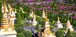Spend the Day Exploring Nong Nooch Gardens, Pattaya