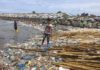 Sattahip bay, thai man stood on rubbish floating in sea