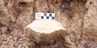 Earliest Evidence of Our Human Ancestors Outside of Africa Found