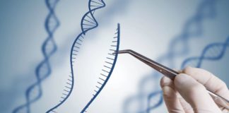 UK-Based Think Tank Says Editing Human Embryos Is ‘Morally Permissible’