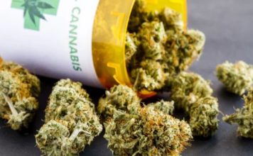 Americans Think Pot Is Healthy, But Scientists Still Have Questions