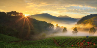 There’s so much to love on rainy days – escape to Chiang Mai