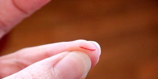 Why Do Paper Cuts Hurt So Much?