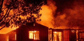 California forest blaze kills second firefighter