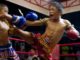 Thai study raises concerns over rights and brain injuries among young muay thai fighters