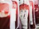 Blood: Everything you need to know
