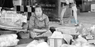 Human Quote of the Day