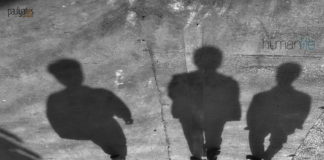 Human Quote of the Day