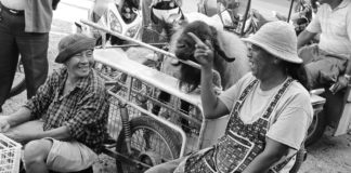 Human Quote of the Day