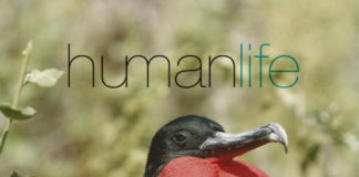 Galapagos Islands – Another World