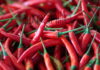 Hot Finding: Spicy Food Linked with Longer Life