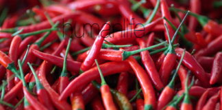 Hot Finding: Spicy Food Linked with Longer Life
