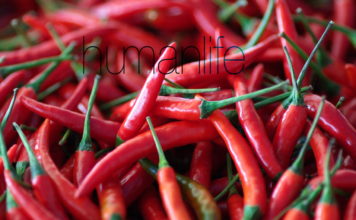 Hot Finding: Spicy Food Linked with Longer Life