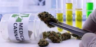 Medical cannabis provides relief across dozens of health symptoms, study shows