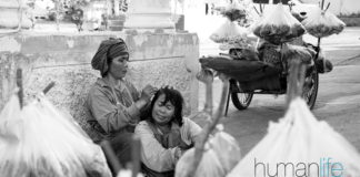 Human Quote of the Day