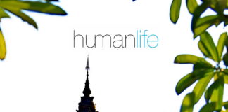 What Is Photosynthesis?