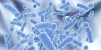 Why Probiotics May Not Always Help, And Could Actually Do Harm