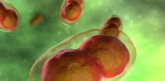 First ‘Monkeypox’ Case Reported in UK. Why You Shouldn’t Worry