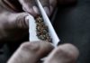 South Africa’s top court legalises personal, private cannabis use