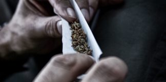South Africa’s top court legalises personal, private cannabis use