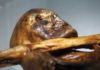Ötzi the Iceman’s Tattoos May Have Been a Primitive Form of Acupuncture Ötzi the Iceman’s Tattoos May Have Been a Primitive Form of Acupuncture