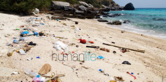 Pattaya unprepared for plastic-bag ban