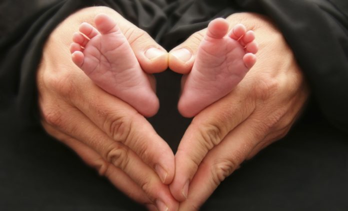 Human Life