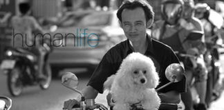 Thai Public outcry after Pet registration bill falls short of reality.