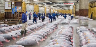 Last orders as Tokyo’s Tsukiji market relocates
