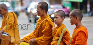 Becoming a Thai Buddhist Monk