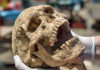 Child ‘Vampire’ Was Buried 1,550 Years Ago in Italy