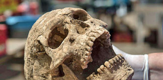 Child ‘Vampire’ Was Buried 1,550 Years Ago in Italy