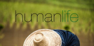 How Thailand became world’s biggest rice exporter with Hong Kong’s help