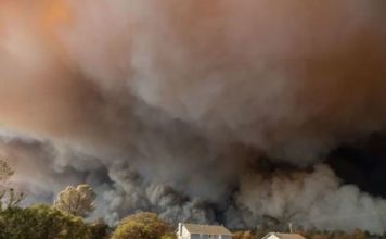 Here’s How Smoke from California Wildfires Affects the Human Body
