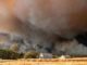 Here’s How Smoke from California Wildfires Affects the Human Body