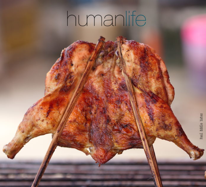 Thai chicken Thai chicken