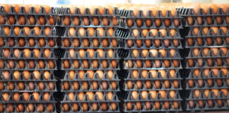 Can you – should you – eat food that has passed its expiry date?