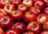 All About Apples: Health Benefits, Nutrition Facts and History
