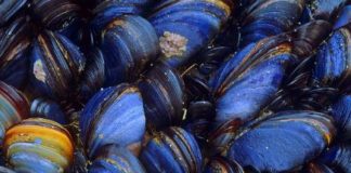 Sculptor Unknowingly Poisons Herself with Her Own Art