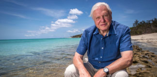 Sir David Attenborough Predicts the ‘Collapse of Civilization’ at UN Climate Summit
