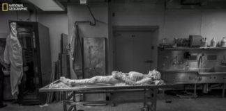 This 87-Year-Old Human Donated Her Body So Doctors Could Slice It into 27,000 Pieces