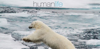 More Than 250,000 Humans May Die Each Year Due to Climate Change