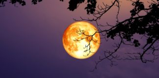 Here’s How to Watch the Super Blood Moon Lunar Eclipse This Weekend