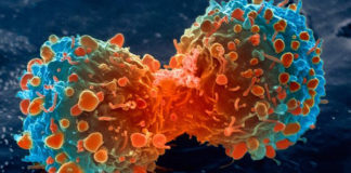 Cancer Death Rates Reach 25-Year Low