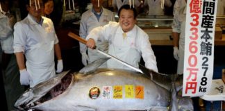 Tuna sells for record $3 million in auction at Tokyo’s new fish market