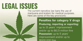 New Thai cannabis law but recreational use is still illegal. Tricky transition period for medical users