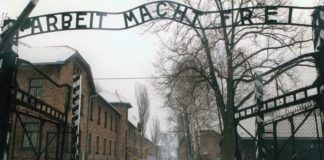 Auschwitz Survivor and the Soldier Who Rescued Her Celebrate Their 71st Valentine’s Day Together