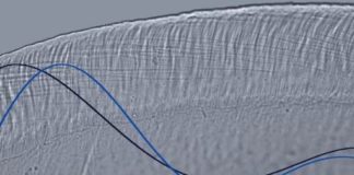 Why Do Humans Hear So Well? You Can Thank the Tiny ‘Jell-O’ Violin Inside Your Ear