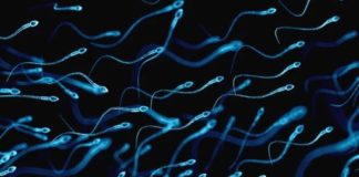 Smoking Marijuana Linked to Better Sperm Counts in Surprising Study